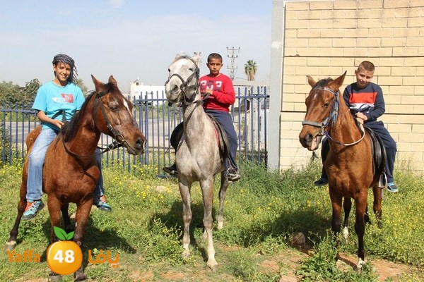 torath zahra20402 (24).JPG